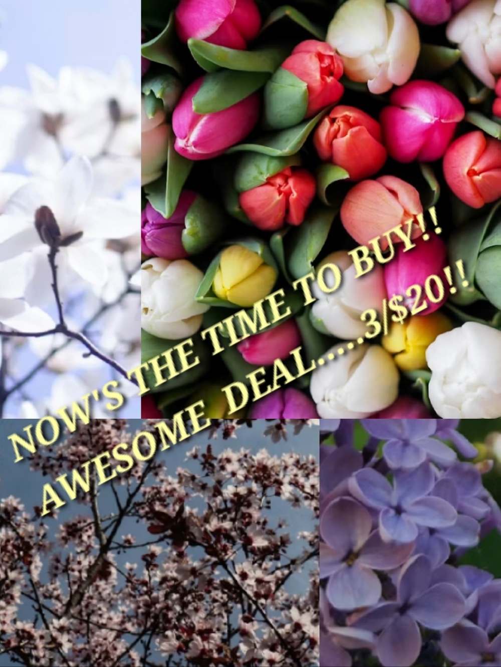 SUUUPER SPRING SALE!!!